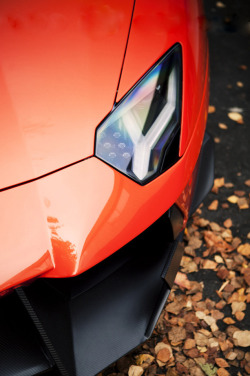 w-0nders:  Aventador | Credit 