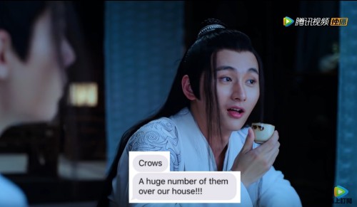 guqin-and-flute:Text Post Meme: The trio that currently shares a braincell{  36 / ? }