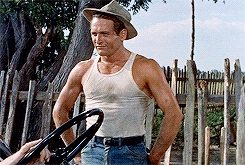 Porn Pics tank-top-scenes:  Paul Newman in The Long,