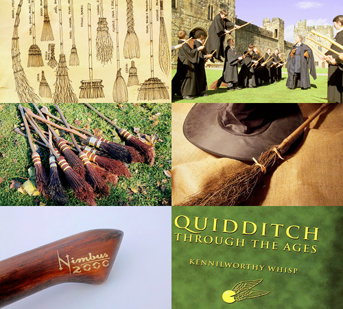 alishenciya: Hogwarts subjects | Flying Flying, also known as Broom Flight Class, is a subject 
