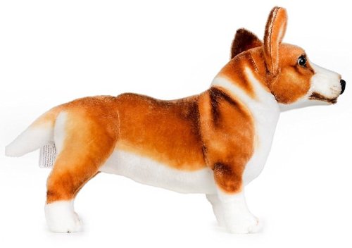 whirelez:Caerwyn the Cardigan Welsh Corgi This plush stuffed animal is securely sewn from the highes