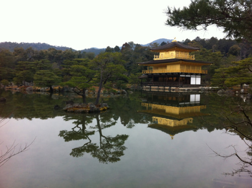 galeria-373:  Golden palace Kinkakuji-temple  何度来ても、やっぱり金閣寺は美しい。
