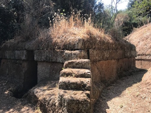 thecrankyprofessor:Cerveteri - the ancient Etruscan necropolis. The site was almost empty of other v