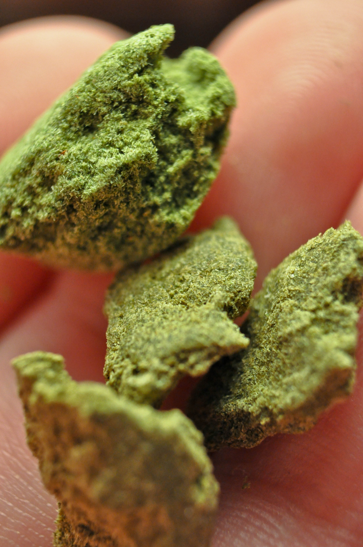 The Cannabis Queen