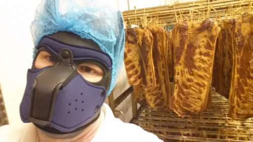Starting A New Week At Work - With Quality Management Being One Of Rufus Tasks(fur-nets Must Be Worn
