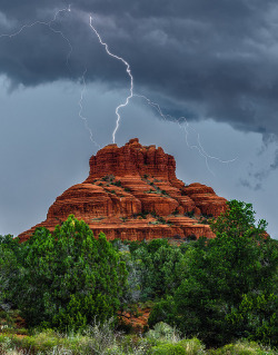 ourwildways:  Ring The Bell by Guy Schmickle on Flickr. 