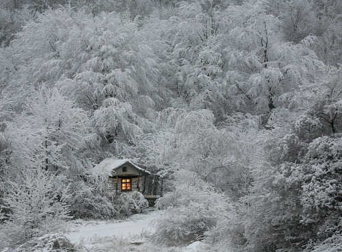 XXX landscape-photo-graphy:10 Lonely Little Houses photo