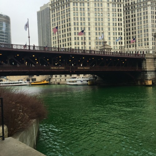 Chicago. St. Patrick’s Day.