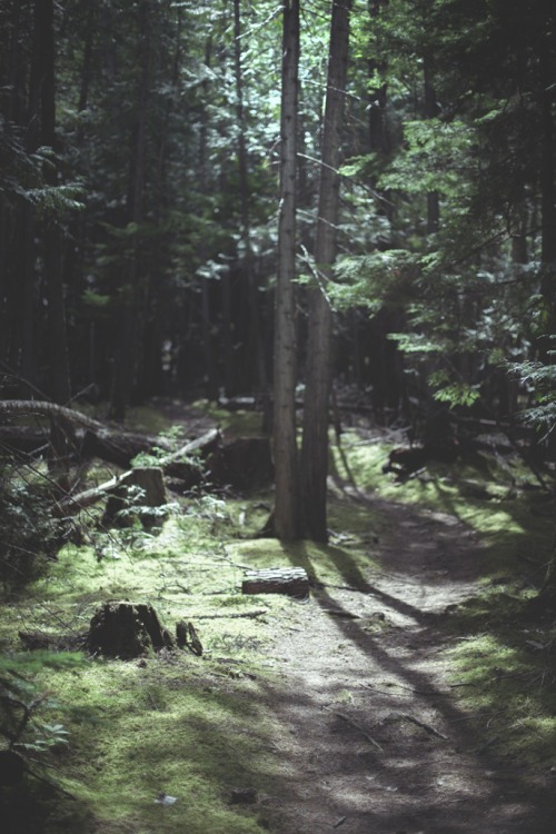 oh-haroo:  Follow me for more vertical nature and landscape! 
