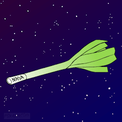 foxadhd:   NASA Concept Aircraft Looks Like a Flying Vegetable
