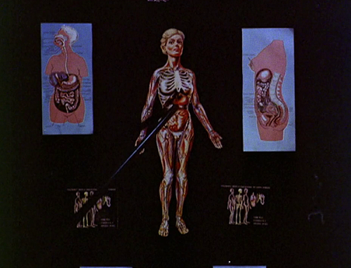 The Woman Who Invented Love (Jean Garrett, 1979)