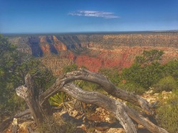 at Pima Point, South Rim Grand Canyon National Park