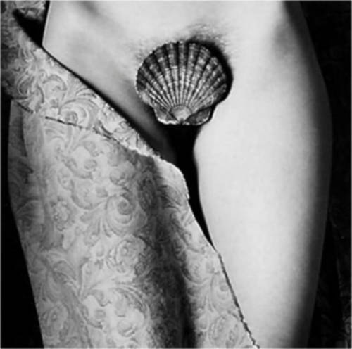  Thomas Karsten ph. - Conque de Venus 