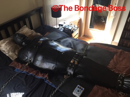 thebondageboss:  Tuesday, July 24 - Canadian pig in Bondage The pig is sealed in a rubber sleepsack with neoprene hood and neoprene tube gag. The pig is still in chastity and plugged with the electro plug. Three belts hold the pig in place and prevent