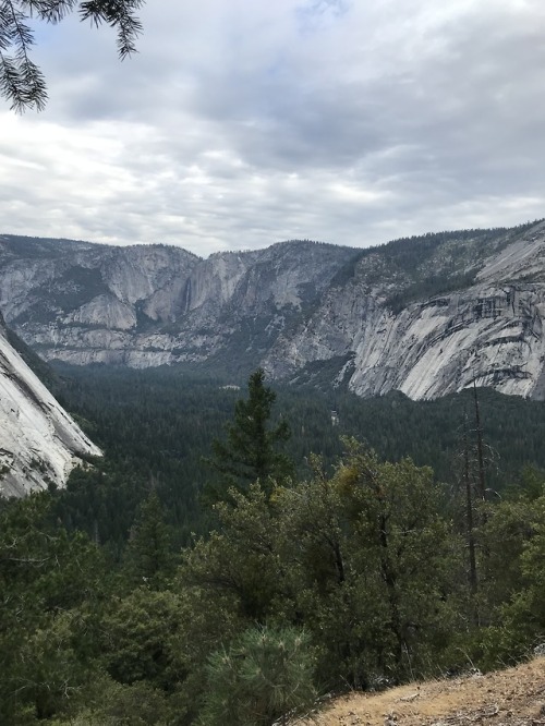 First Yosemite HikeYosemite National Park, California, July 2018Our first morning in Yosemite we wok