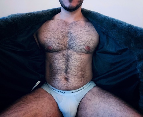 alejodickhead:  https://www.instagram.com/beardedchallenge/