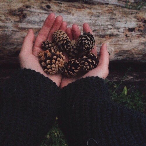 justanotherbadseed:  Heart of the forest 