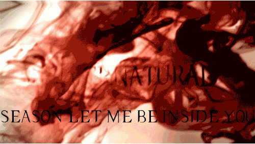 bandsandfangs:  princessakane:  SUPERNATURAL SEASON RENAME inspired by this x  OMFG