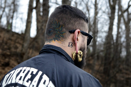 stretched ears