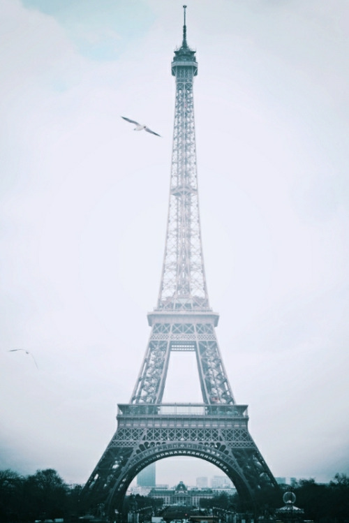 nichvlas:  (by elifonay)