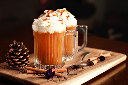 peppermintfrostedpumpkins: Pumpkin Spice Apple Cider