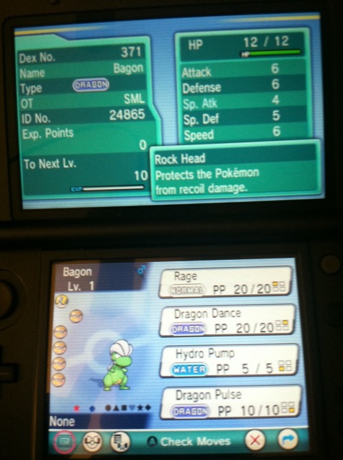 So late last night I hatched this green bagel&hellip; Bagon. Sooo as you can see it has good sta