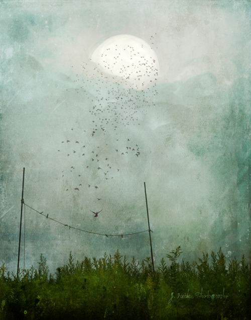 crossconnectmag: The Atmospheric Watercolour Photography of  Jamie Heiden Jamie Heiden, an arti