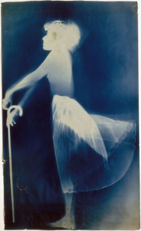 emigrejukebox: Robert Rauschenberg: Untitled (Sue), 1950Exposed blueprint paper, 177.2 x 1