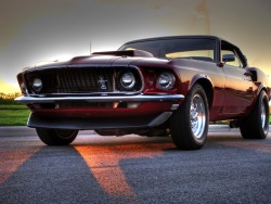 Muscle Cars Fans