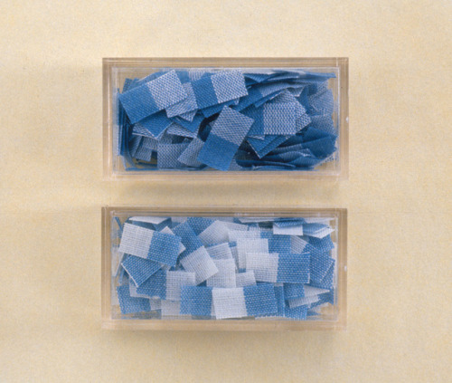 Gingham Series. Indigo Som. Installation. 1998.Indigo Som (b. 1966) is an Asian American photog