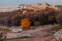 georgeant: The winter in Athens is like that… An extended autumn! (View from Philipappos Hill). 