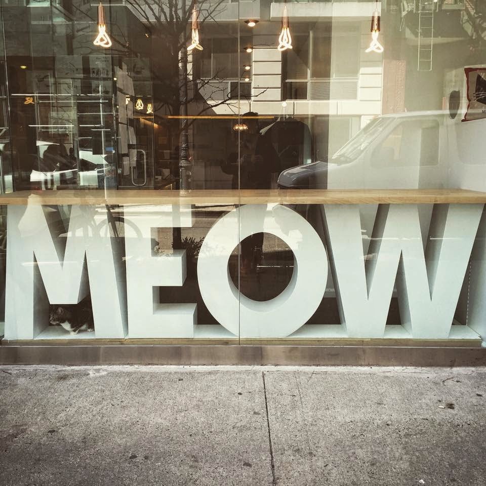 tinyredbird:dogsandtheirbuddies:Meow Parlour is New York City’s first cat café,