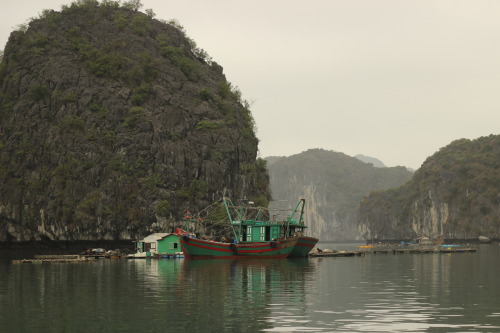 Lan Ha Bay, Vietnam. March 2019 © JB