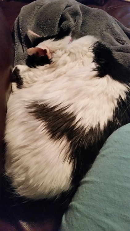 A warm loaf.(submitted by @slublings)