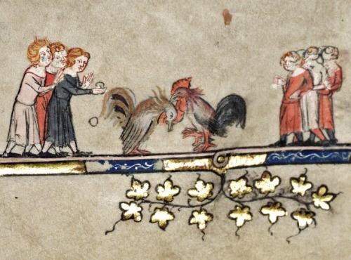 inacom:Pelea de gallos. ‘Romance of Alexander’ (1338-44), Bodleian Library, Oxford. MS. Bodl. 264, p