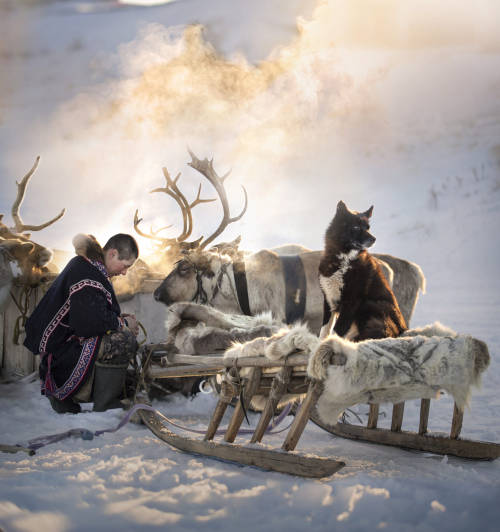 the reindeer breeder day by Elena Shumilova Camera: Canon EOS 5D Mark III Lens: Canon EF 70-200mm f/