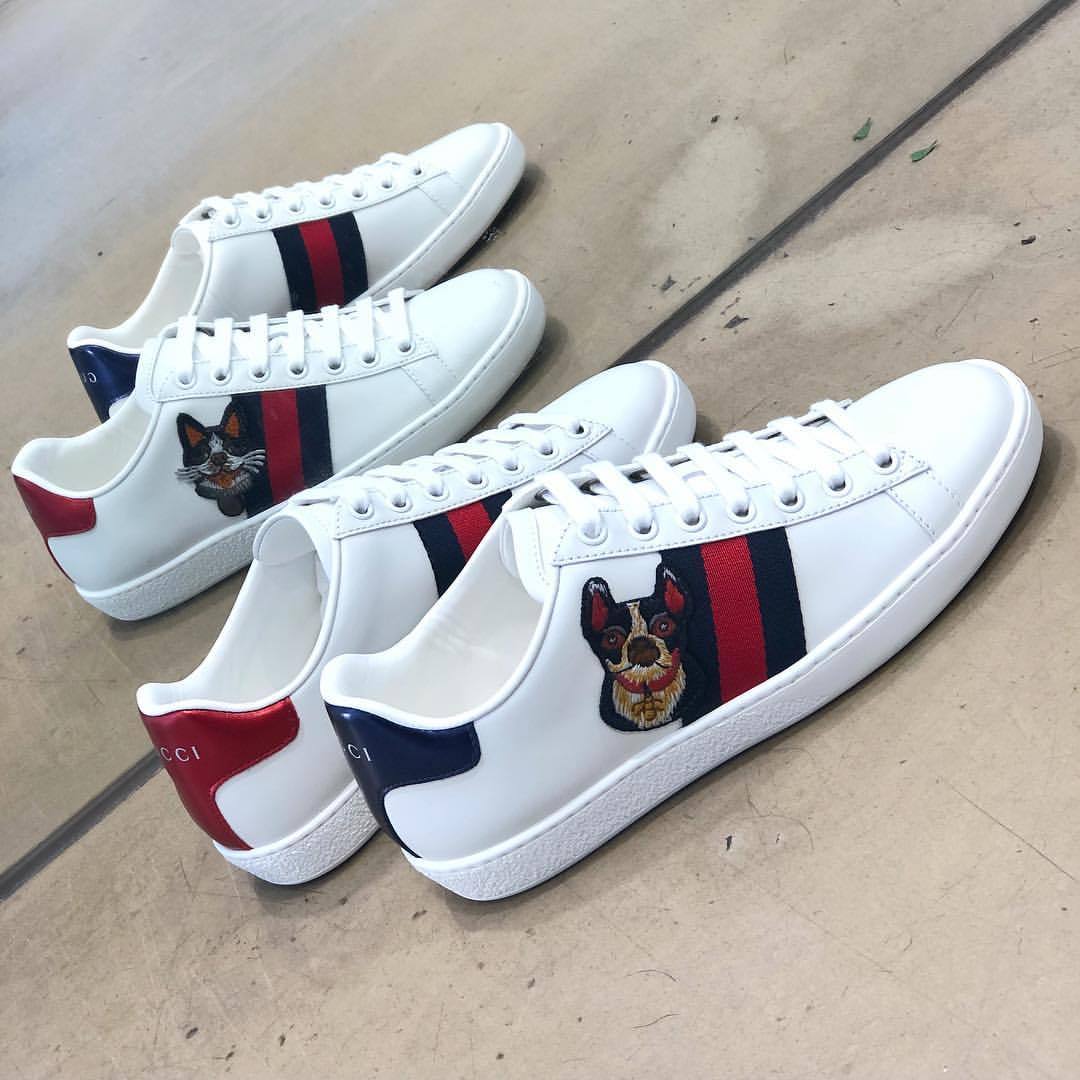 gucci dog shoes