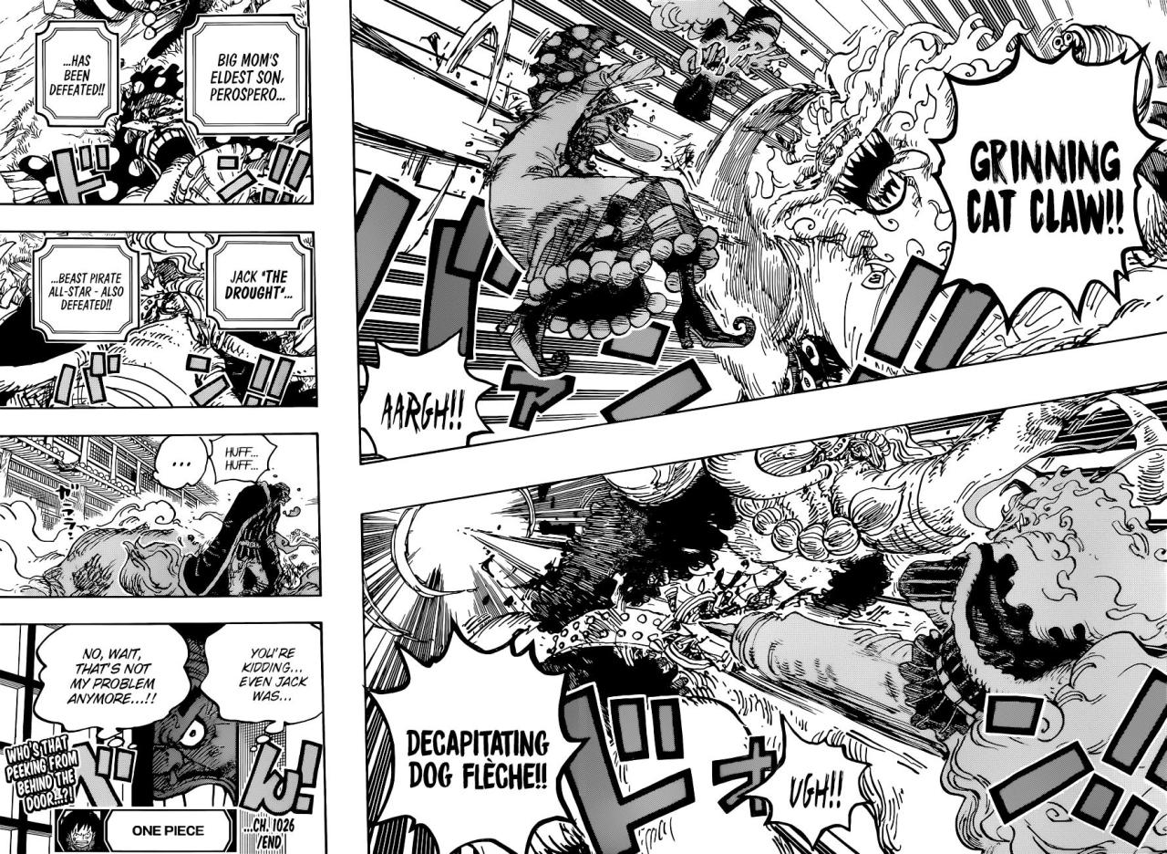 Otaku Orbit One Piece Chapter 1026 Momo Bites Kaido Luffy