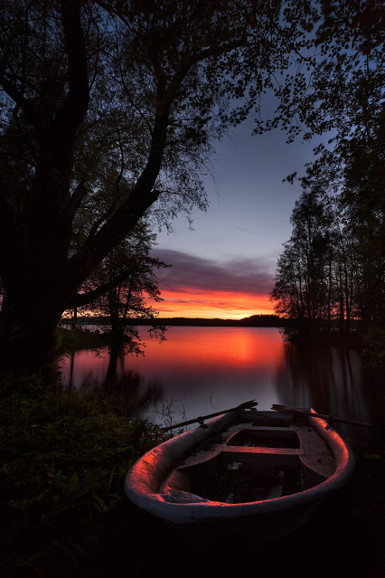 sleepinsidemysoul:there ….right there, in the clearing…between the trees …that is the universe openi