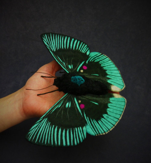 wnq-writers: Textile Moth and Butterfly Sculptures by Yumi Okita North Carolina-based artist Yumi Ok
