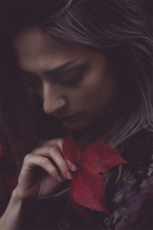 noisenest:  delimited // theresa manchester // montreal