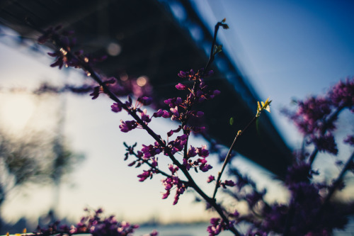 sitoutside:   Astoria Park   by  Jose Tutiven adult photos