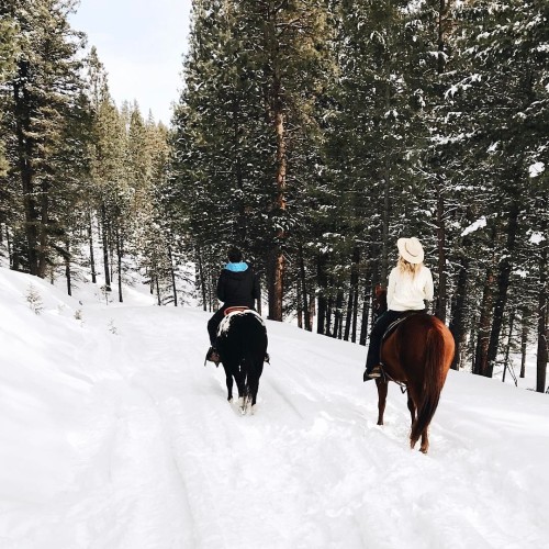 A peaceful way to explore. : IG user laurenswells