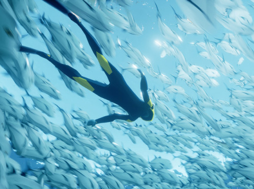 i tried ABZU today and its soooo gorgeousssssssss i could crythough some stage are like slapping my 
