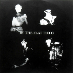 bleeding-ground:  “In The Flat Field”,