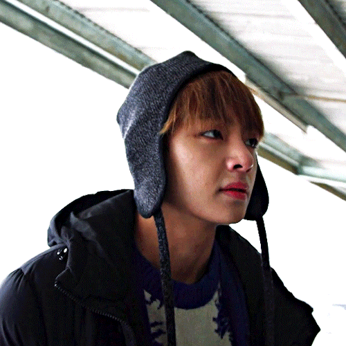 Winter Bear For @heybaetae [cr. 0613data]