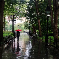 luuinnewyork:Rainy days in New York