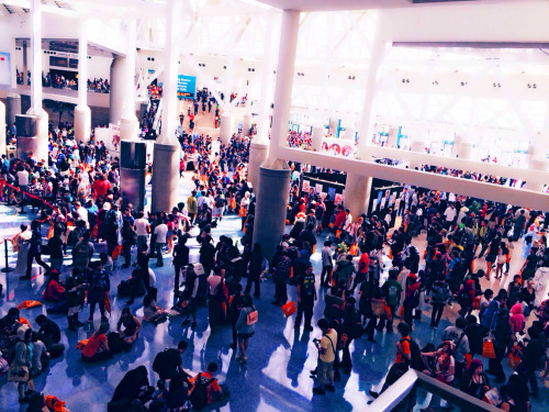 That right there is Anime Expo 2014. 80,000 attendees are converging in the Los Angeles Convention C