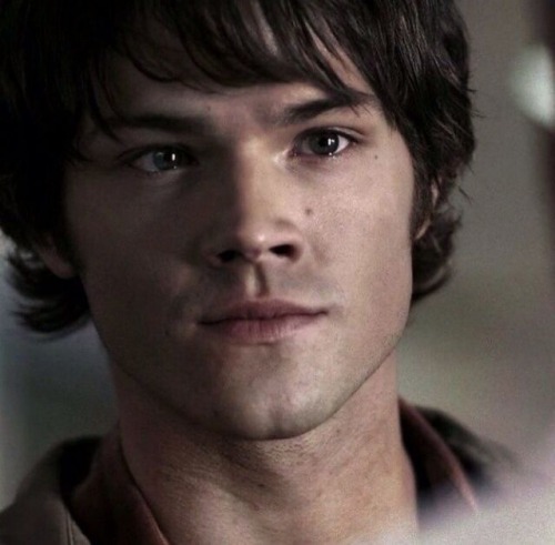 I Cant Just Look At Sammys Puppy Dog Eyes