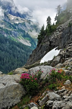 sublim-ature:  Mt. Baker,WashingtonGerald Neufeld 